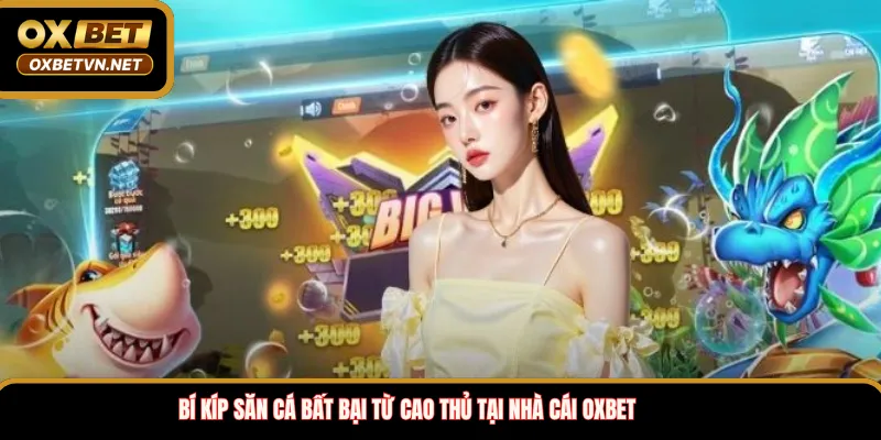 Bí kíp săn cá bất bại từ cao thủ tại nhà cái OXBET