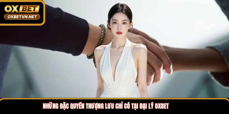 Những đặc quyền thượng lưu chỉ có tại đại lý OXBET