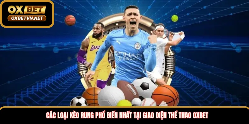 Các loại kèo rung phổ biến nhất tại giao diện thể thao Oxbet 