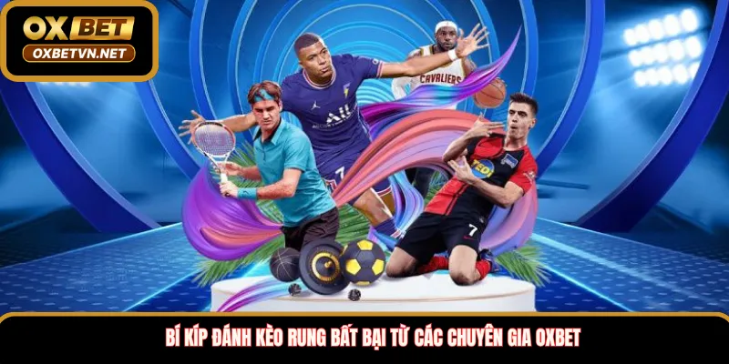 Bí kíp đánh kèo rung bất bại từ các chuyên gia Oxbet 