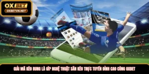 Giải mã kèo rung là gì? Nghệ thuật săn kèo trực tuyến đỉnh cao cùng Oxbet 