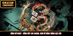 Rồng hổ Oxbet – Đẳng cấp live casino, Chơi dễ dàng trúng cực lớn 