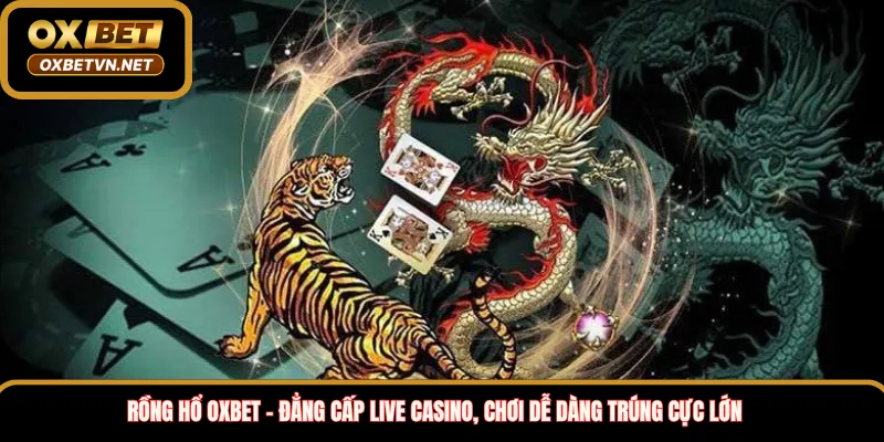 Rồng hổ Oxbet – Đẳng cấp live casino, Chơi dễ dàng trúng cực lớn 